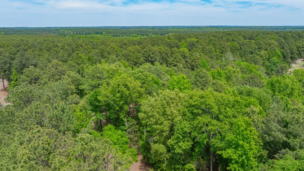 3400 CR 1240 Linden, TX 75563