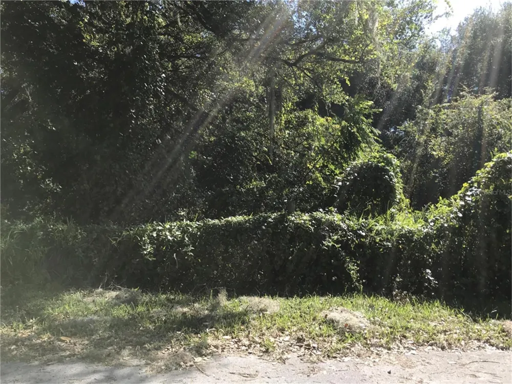 NW 2ND Webster, FL 33597