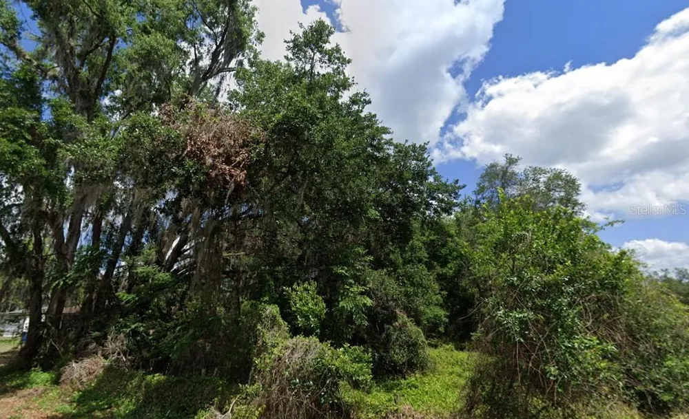 NW 2ND Webster, FL 33597