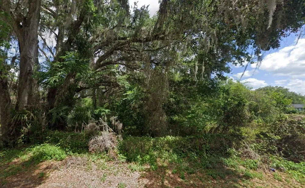 NW 2ND Webster, FL 33597