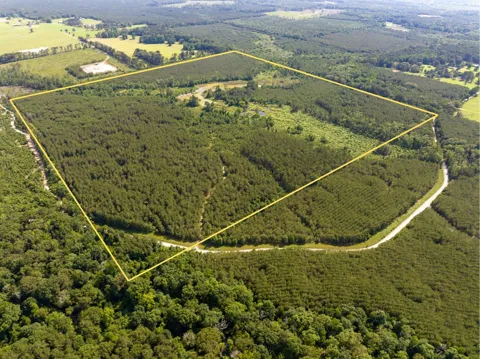 Ferguson Road