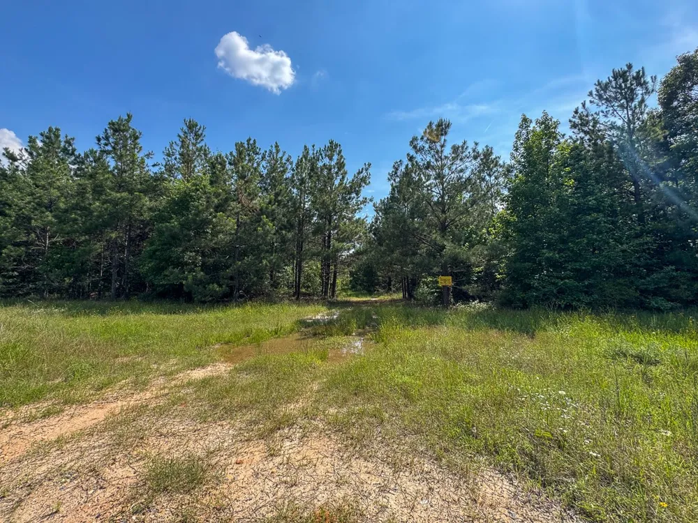 Ferguson Road Coushatta, LA 71019