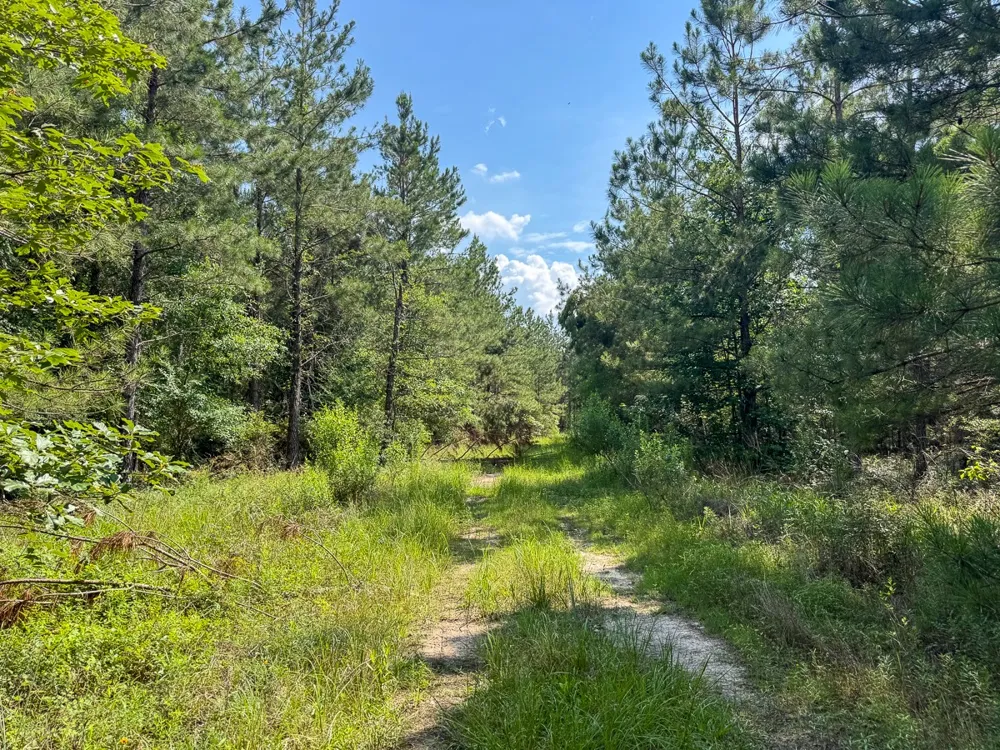 Ferguson Road Coushatta, LA 71019