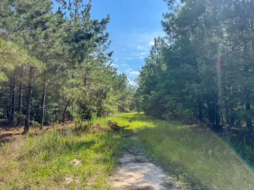 Ferguson Road Coushatta, LA 71019
