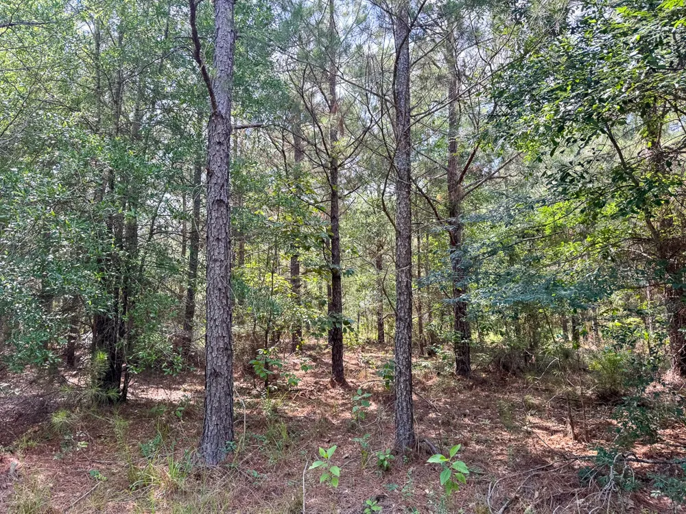 Ferguson Road Coushatta, LA 71019