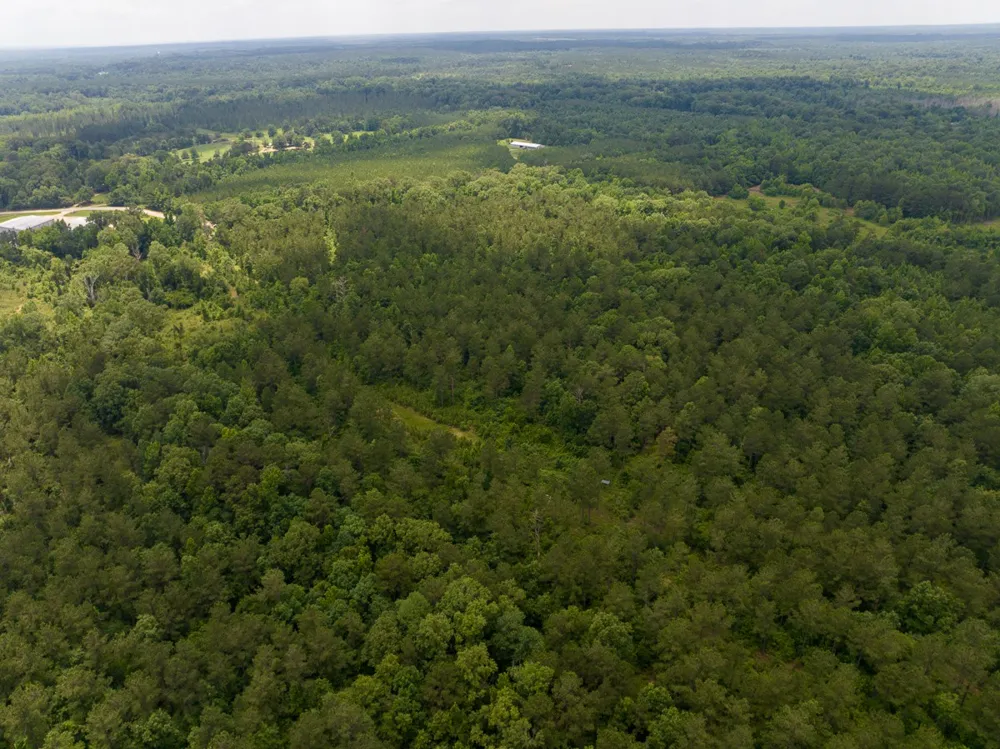 Ferguson Road Coushatta, LA 71019