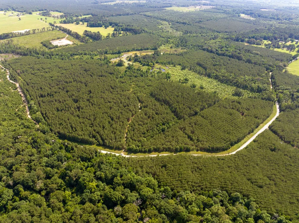 Ferguson Road Coushatta, LA 71019