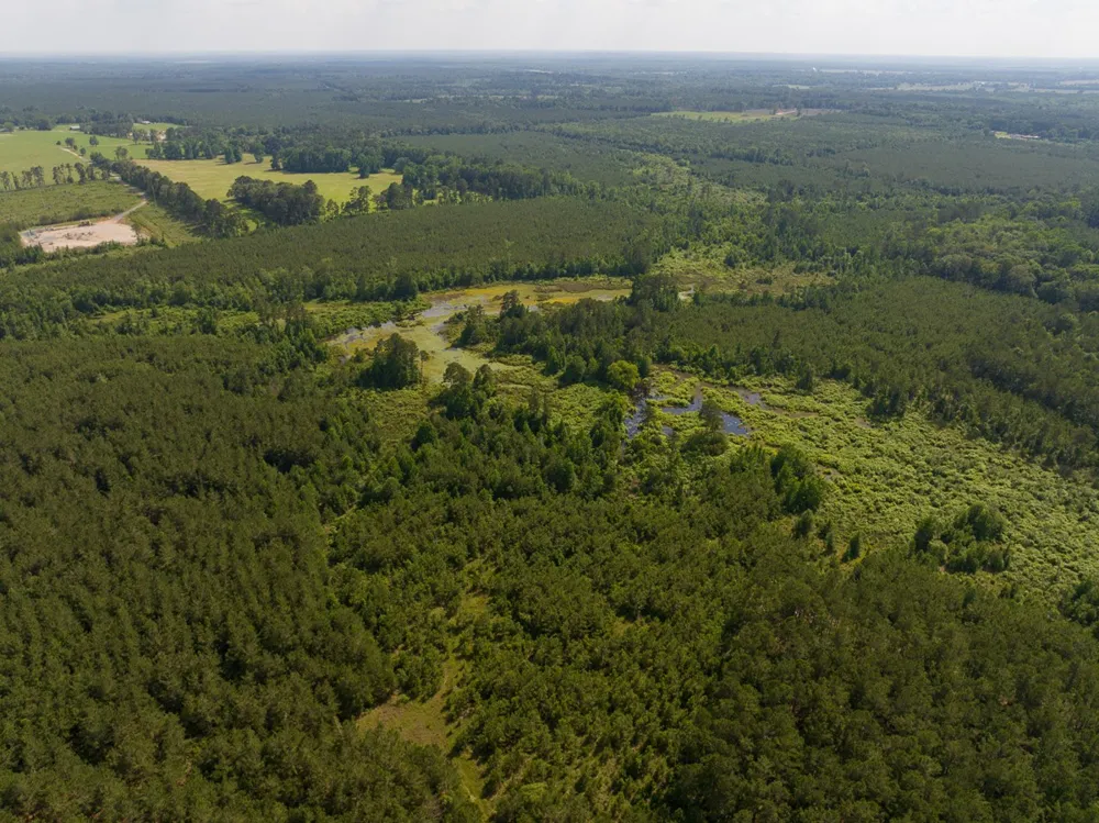 Ferguson Road Coushatta, LA 71019
