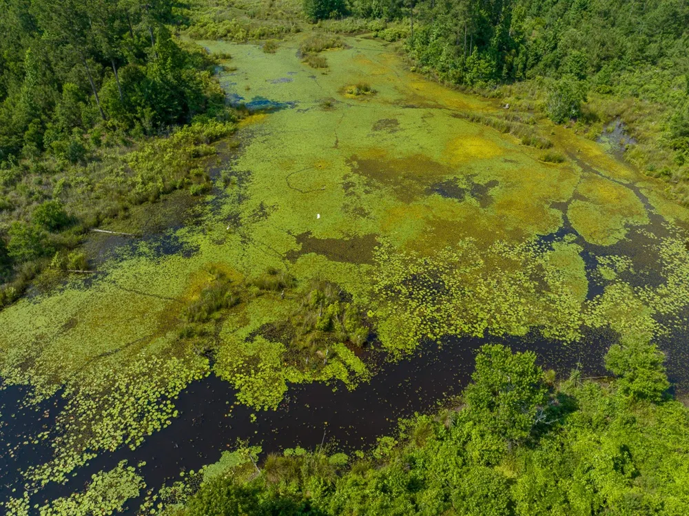 Ferguson Road Coushatta, LA 71019
