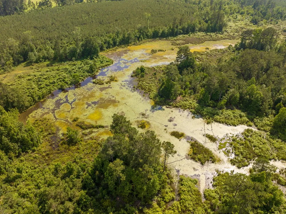 Ferguson Road Coushatta, LA 71019