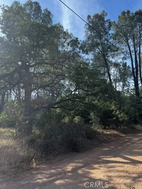 14335 Noble Ranch Lower Lake, CA 95457