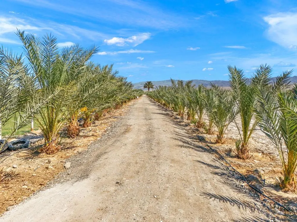 88161 Airport Boulevard Thermal, CA 92274
