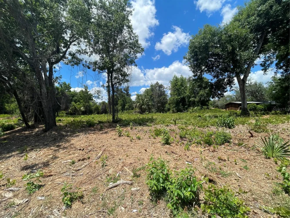 COUNTY ROAD 42 Umatilla, FL 32784