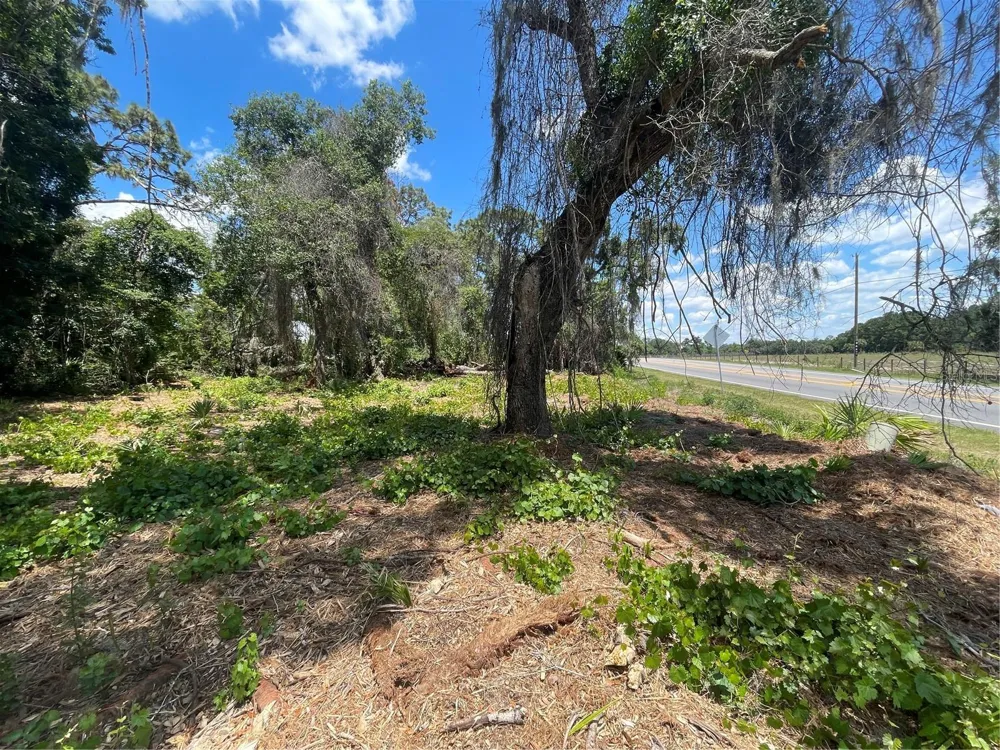 COUNTY ROAD 42 Umatilla, FL 32784
