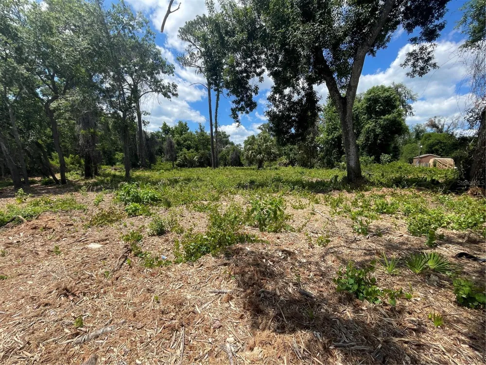 COUNTY ROAD 42 Umatilla, FL 32784