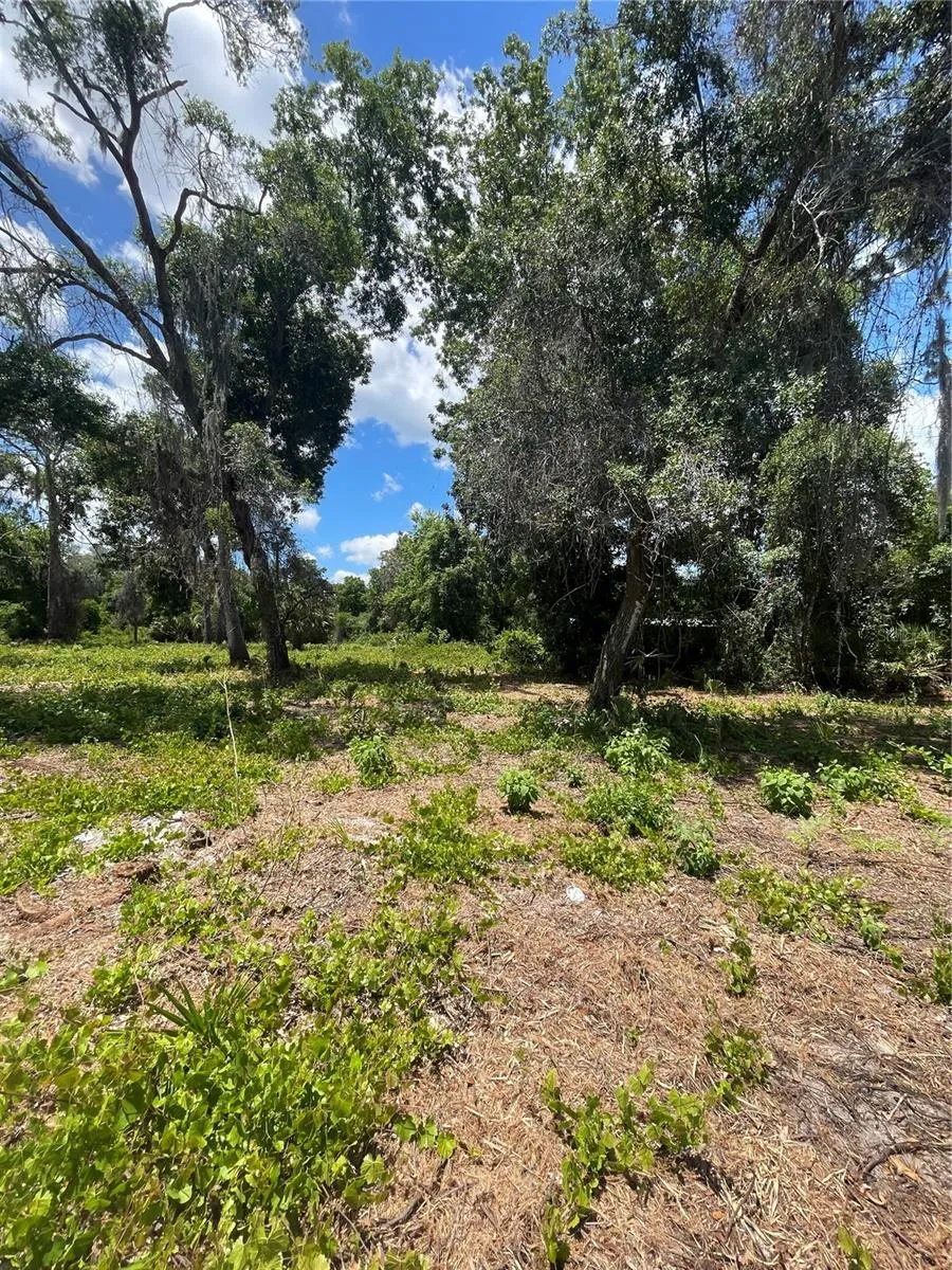 COUNTY ROAD 42 Umatilla, FL 32784