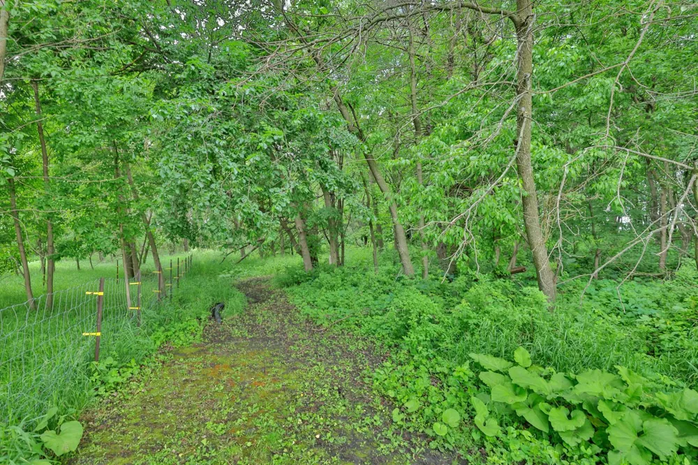 16780 County Road 34 Norwood Young America, MN 55368