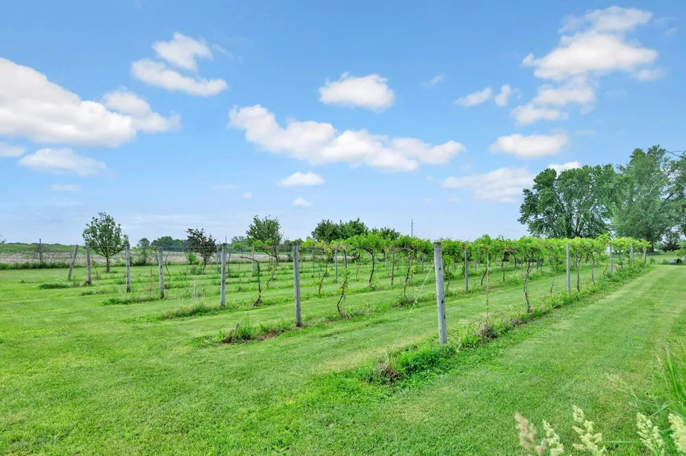16780 County Road 34 Norwood Young America, MN 55368