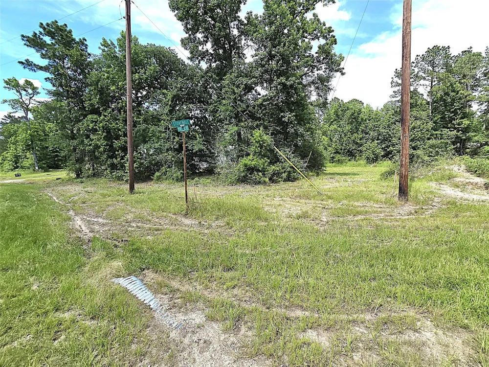 215 Buffalo Way Trinity, TX 75862
