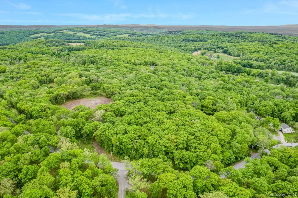 101 Tower Hill Road Millbrook, NY 12545