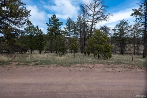 144 Chapparal Trail