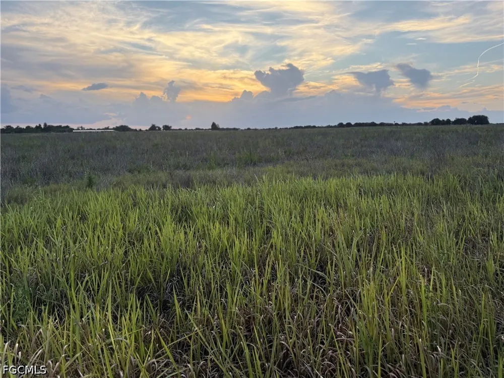 Rest Haven Rd Zolfo Springs, FL 33890