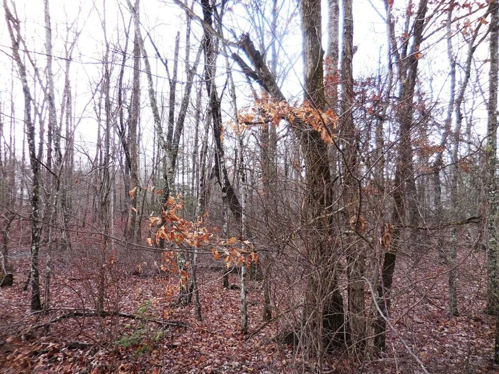 1143 Natchez Trace
