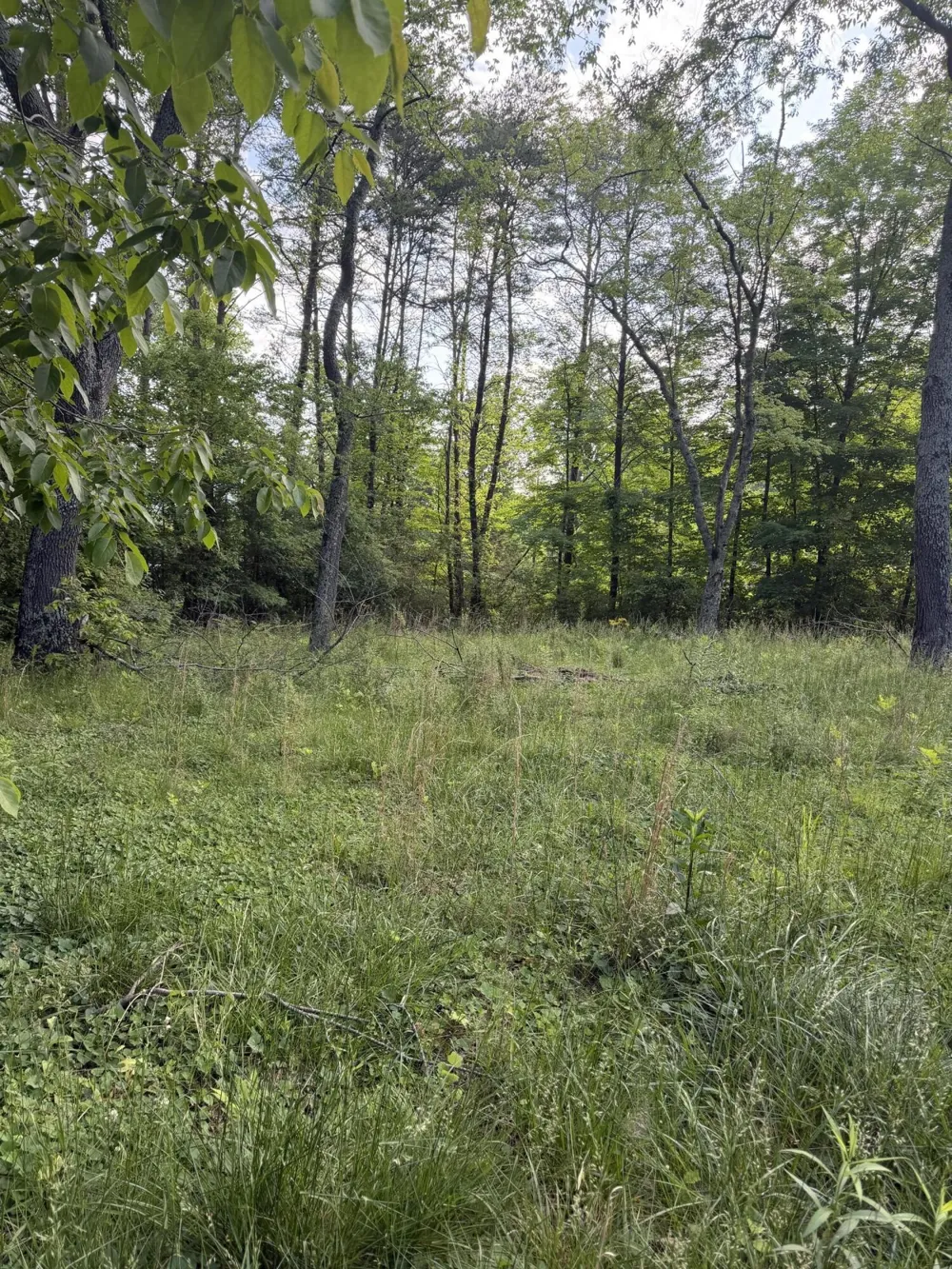 86 Hidden Hills Drive Dayton, TN 37321