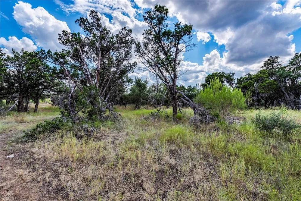 Founders Park Road Dripping Springs, TX 78620