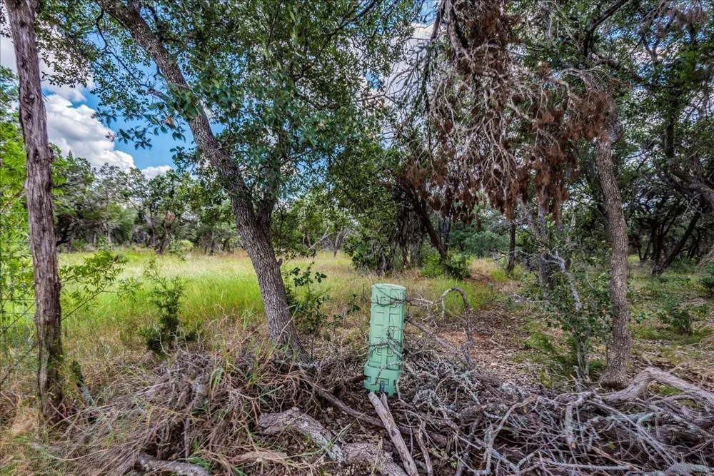 Founders Park Road Dripping Springs, TX 78620