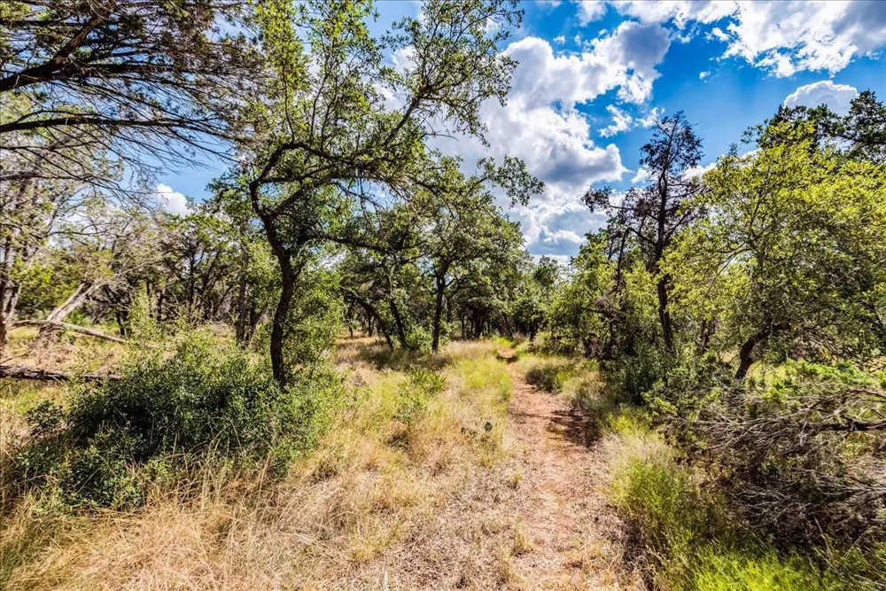 Founders Park Road Dripping Springs, TX 78620