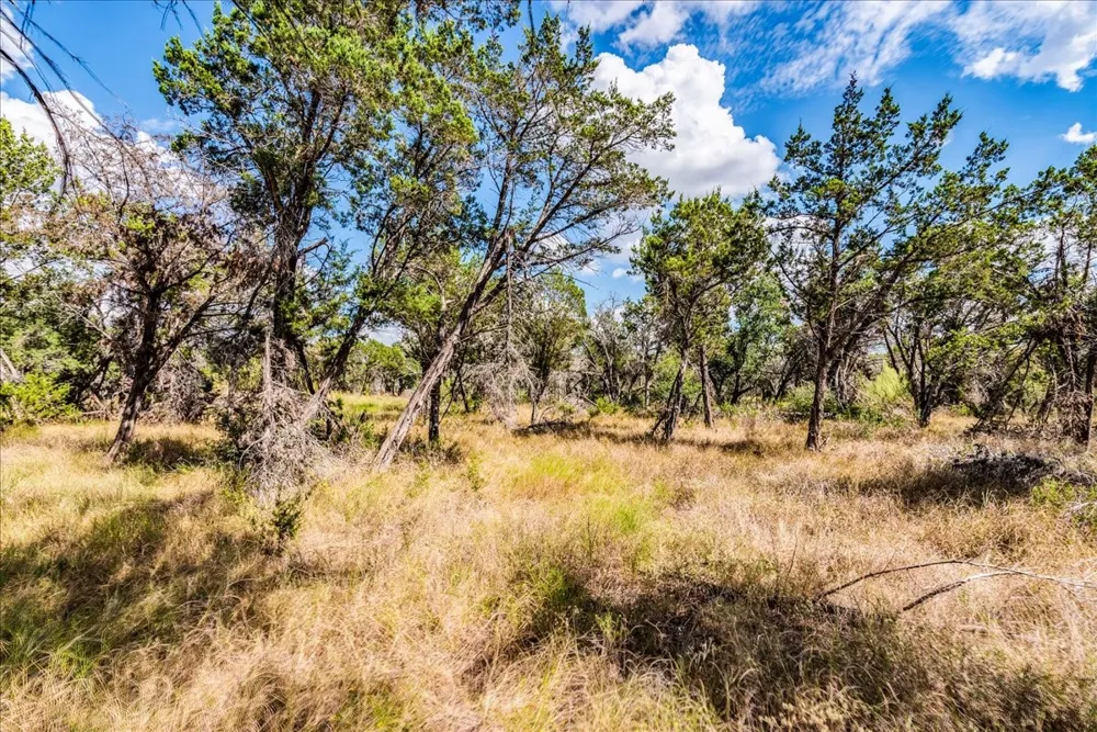 Founders Park Road Dripping Springs, TX 78620