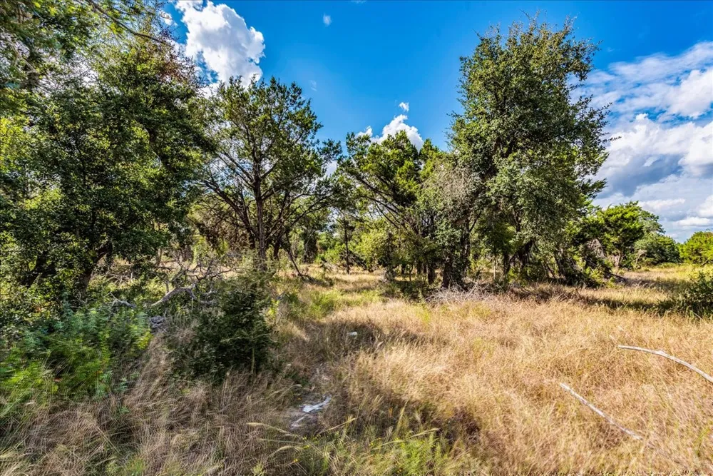Founders Park Road Dripping Springs, TX 78620