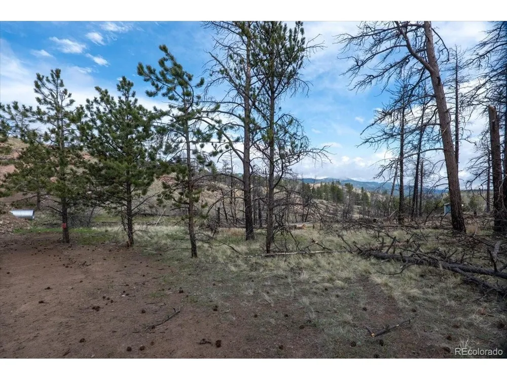 144 Chapparal Trail Florissant, CO 80816