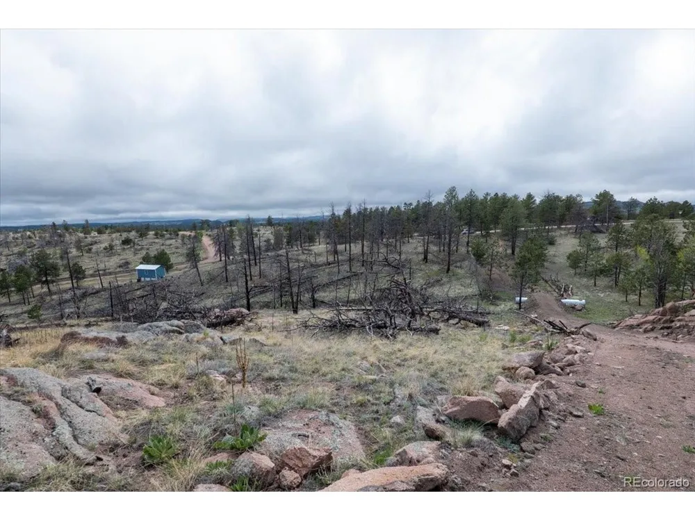 144 Chapparal Trail Florissant, CO 80816