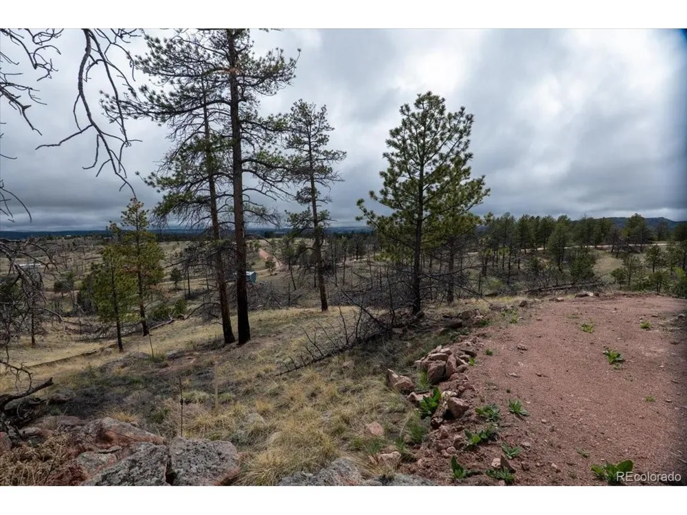 144 Chapparal Trail Florissant, CO 80816