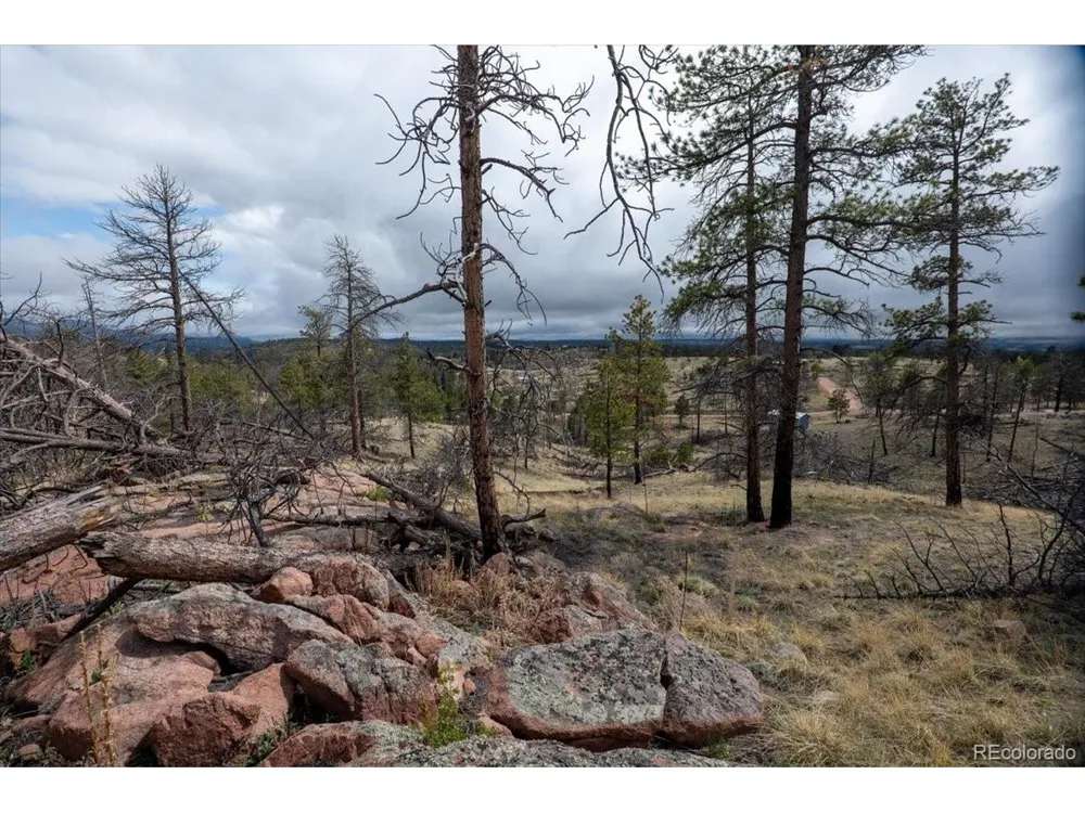144 Chapparal Trail Florissant, CO 80816