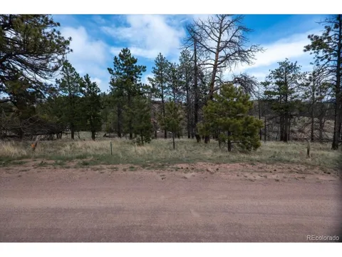 144 Chapparal Trail
