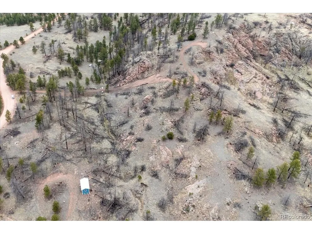 144 Chapparal Trail Florissant, CO 80816