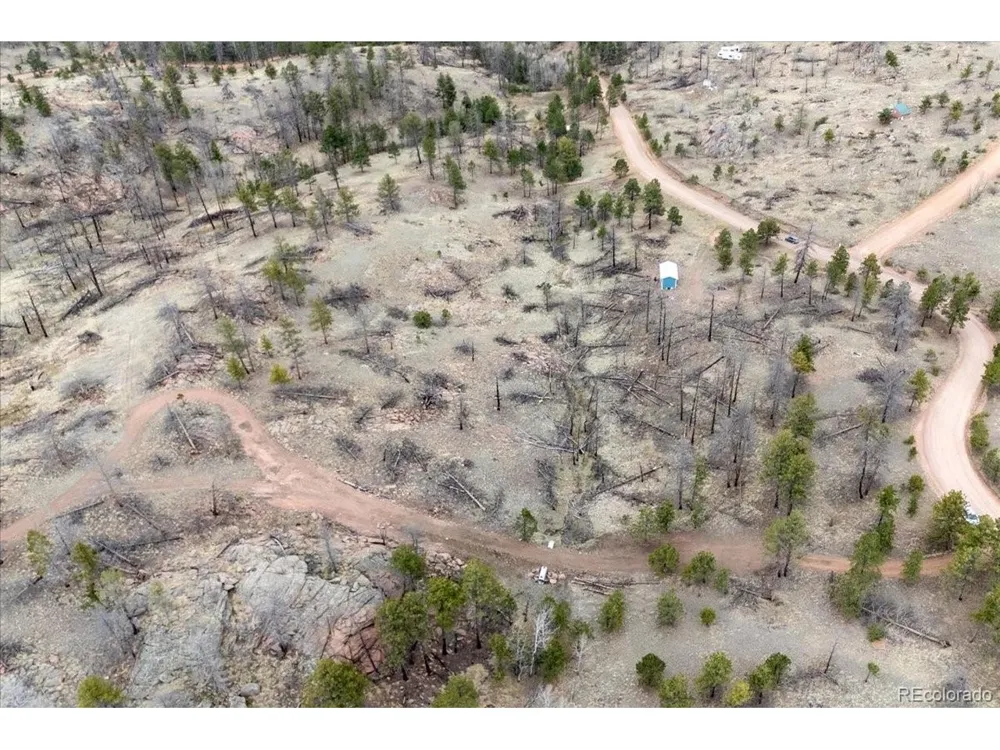 144 Chapparal Trail Florissant, CO 80816