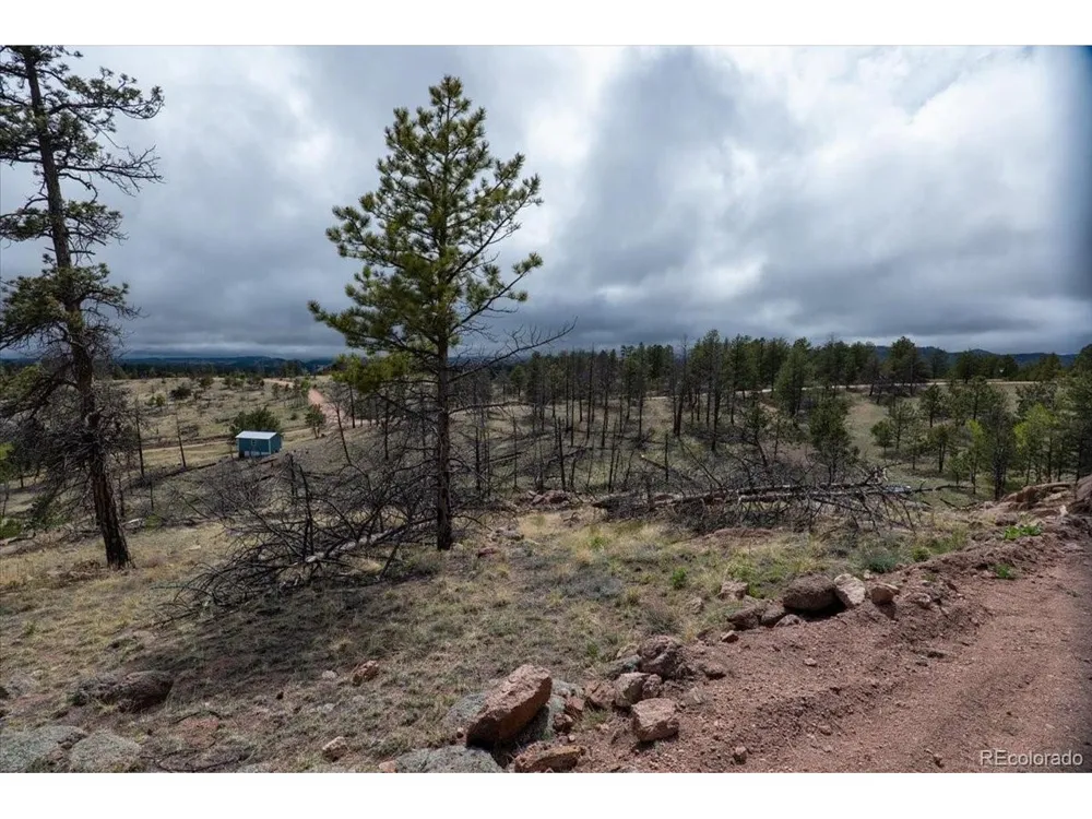 144 Chapparal Trail Florissant, CO 80816