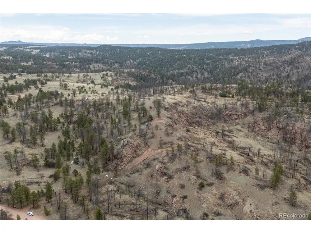 144 Chapparal Trail Florissant, CO 80816