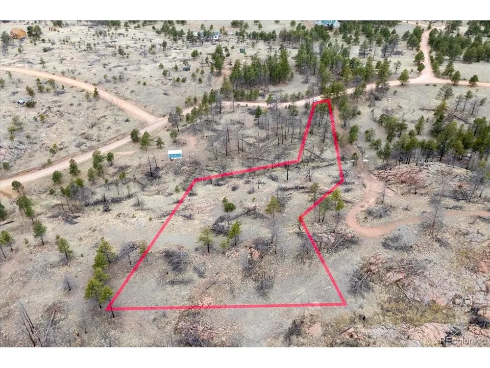 144 Chapparal Trail Florissant, CO 80816