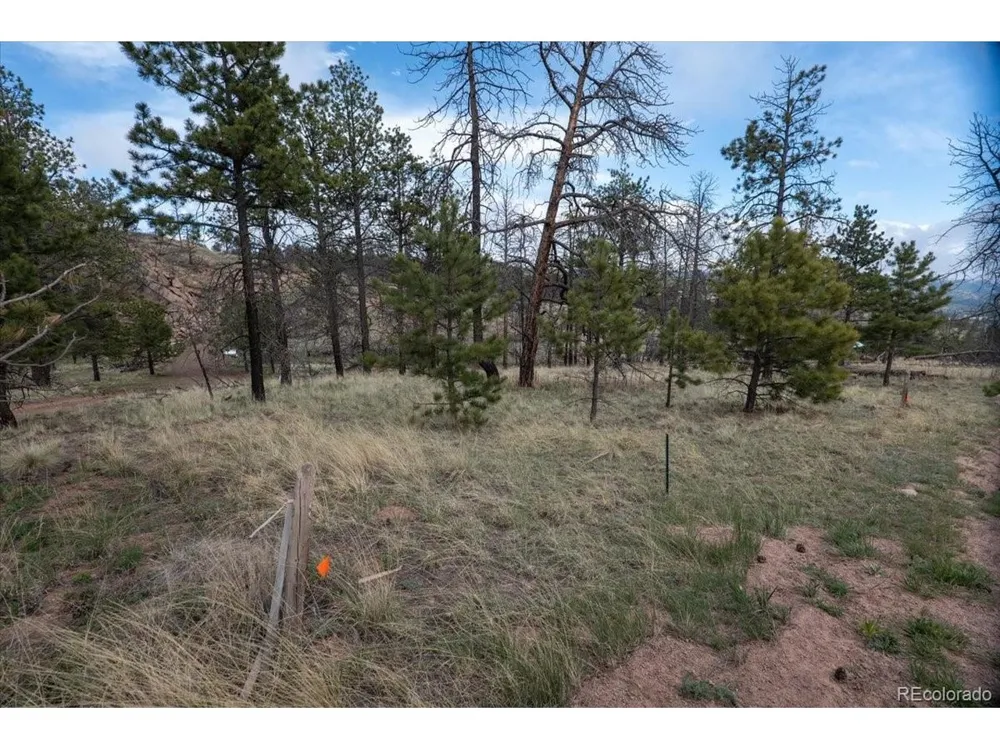 144 Chapparal Trail Florissant, CO 80816