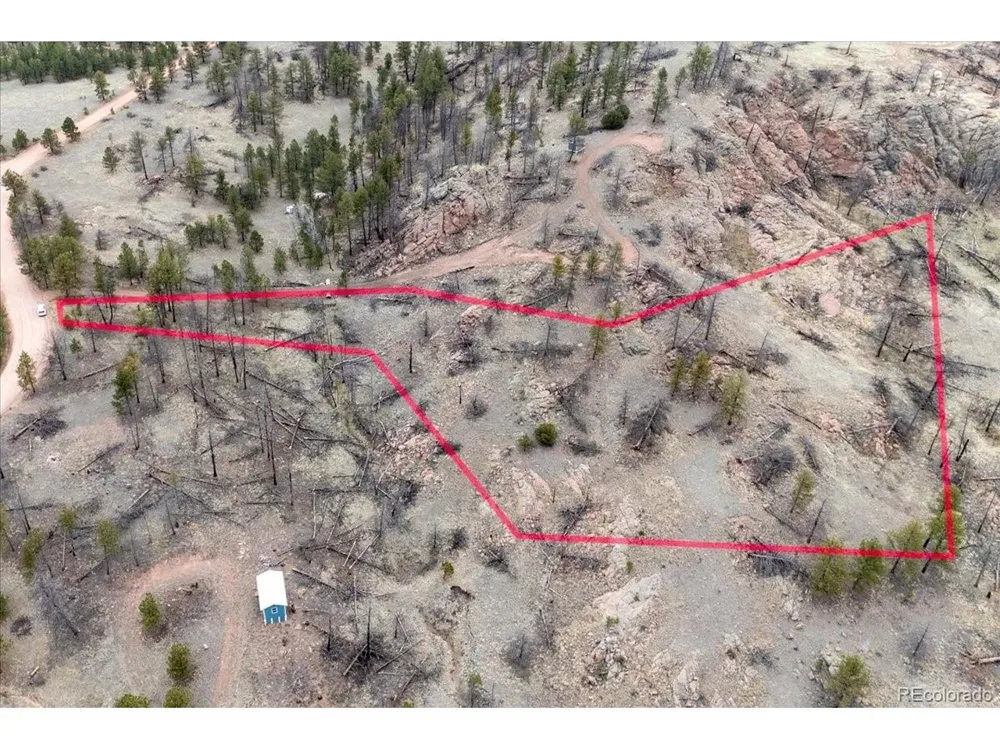 144 Chapparal Trail Florissant, CO 80816