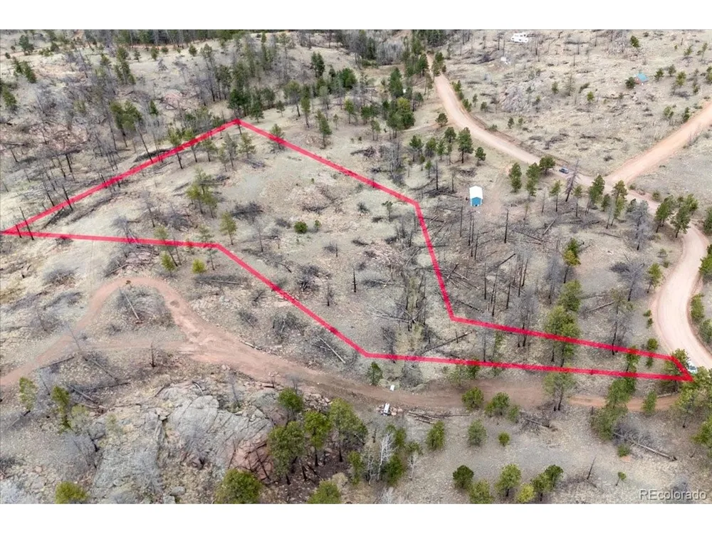 144 Chapparal Trail Florissant, CO 80816