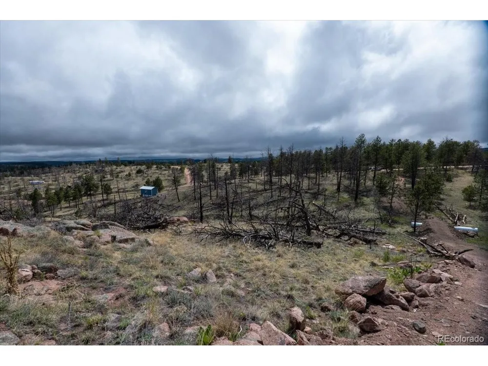 144 Chapparal Trail Florissant, CO 80816