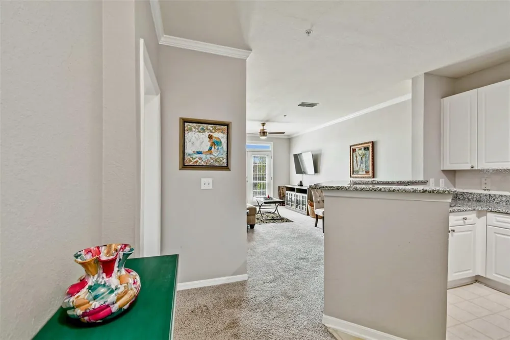 4221 W SPRUCE STREET #2323 Tampa, FL 33607