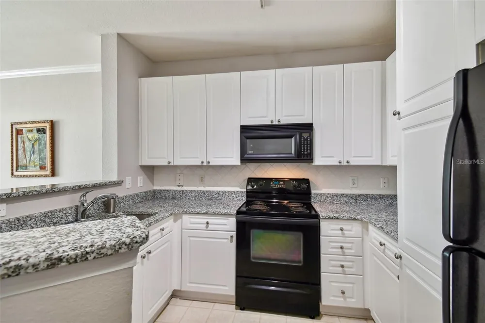 4221 W SPRUCE STREET #2323 Tampa, FL 33607