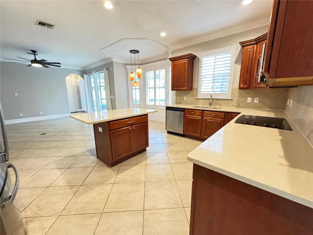 173 CALLIOPE STREET Ocoee, FL 34761
